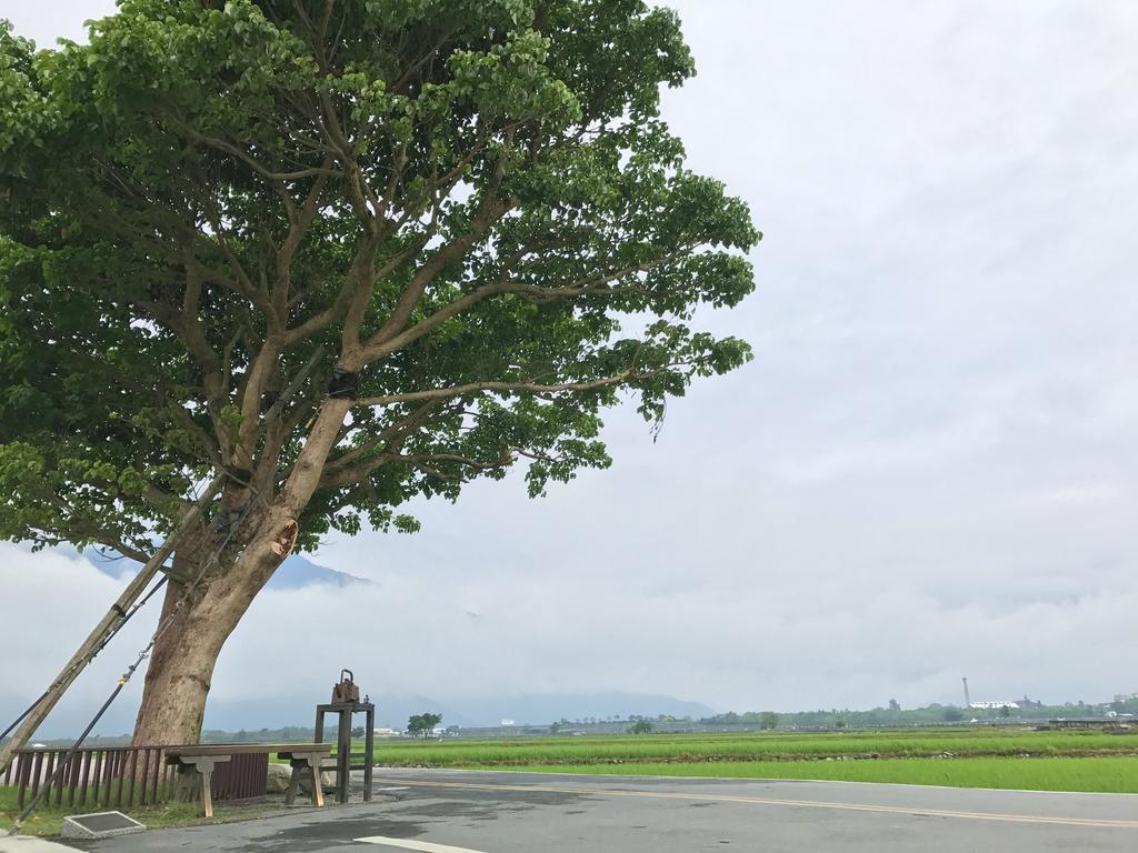 玉蟾園民宿 寵物友善 YuChanYuan B&B Trì Thượng Ngoại thất bức ảnh